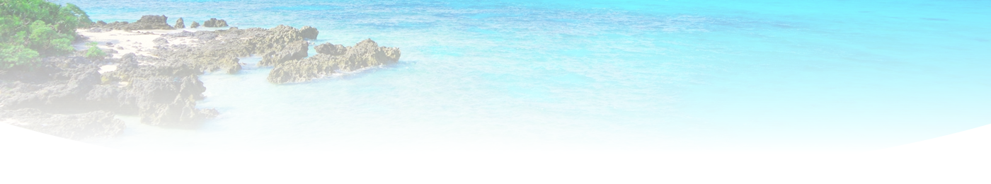 沖縄県那覇市　不動産登記・会社法人登記・債務整理・成年後見・裁判代理